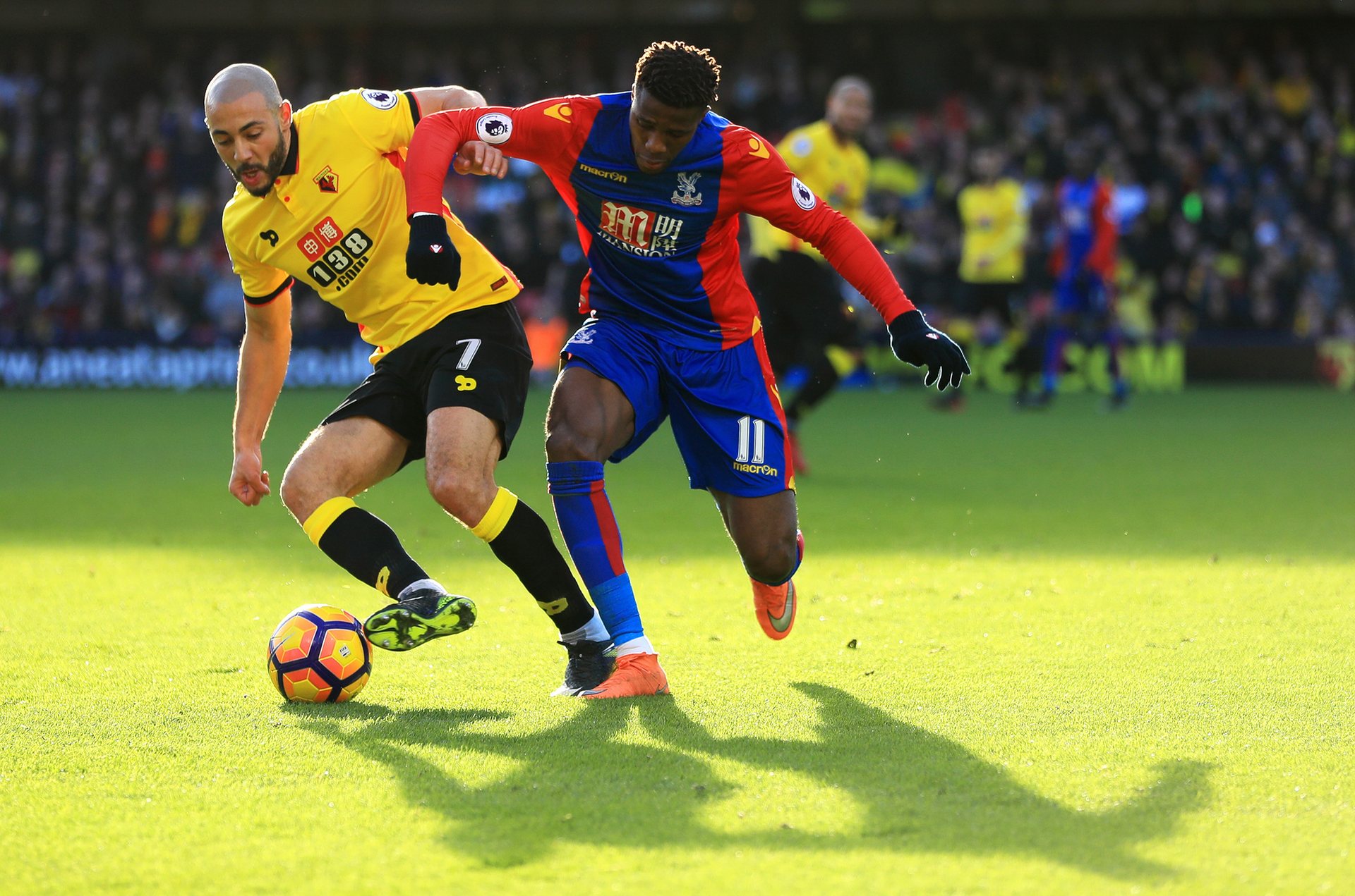 专门分析这 专门分析这